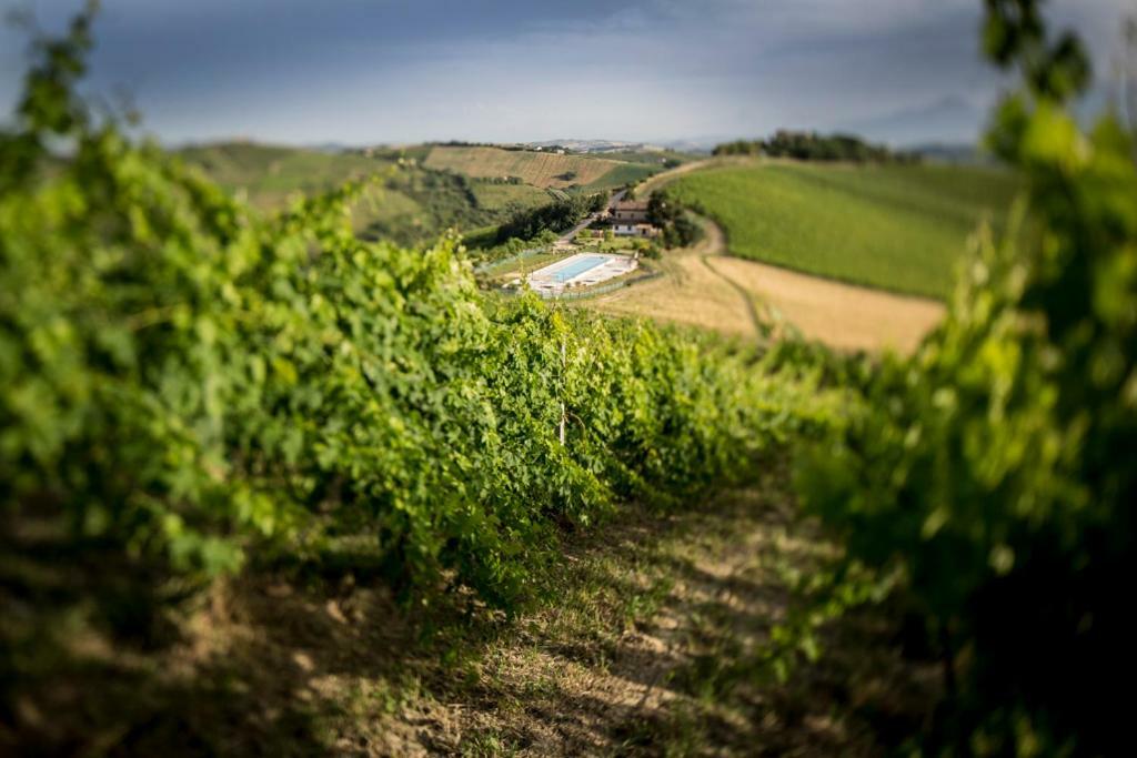 Casali Costadoro Acquaviva Picena Εξωτερικό φωτογραφία