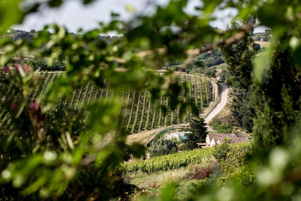 Casali Costadoro Acquaviva Picena Εξωτερικό φωτογραφία